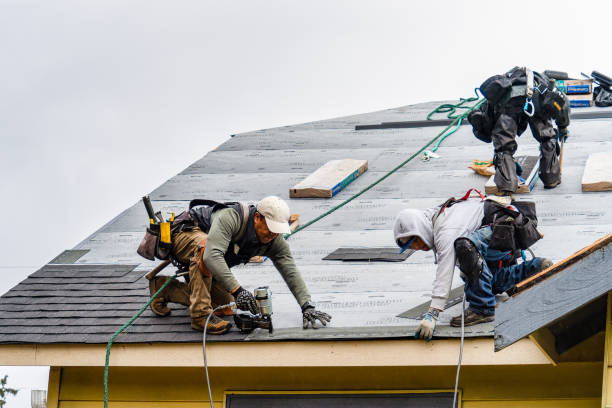 Professional Storm Damage Roof Repair technician working in Wisconsin Dells, WI